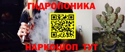 apvp Новодвинск