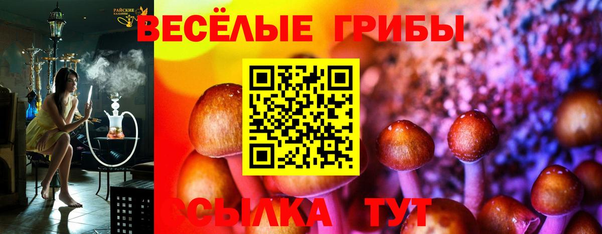 Псилоцибиновые грибы MAGIC MUSHROOMS Гусь-Хрустальный